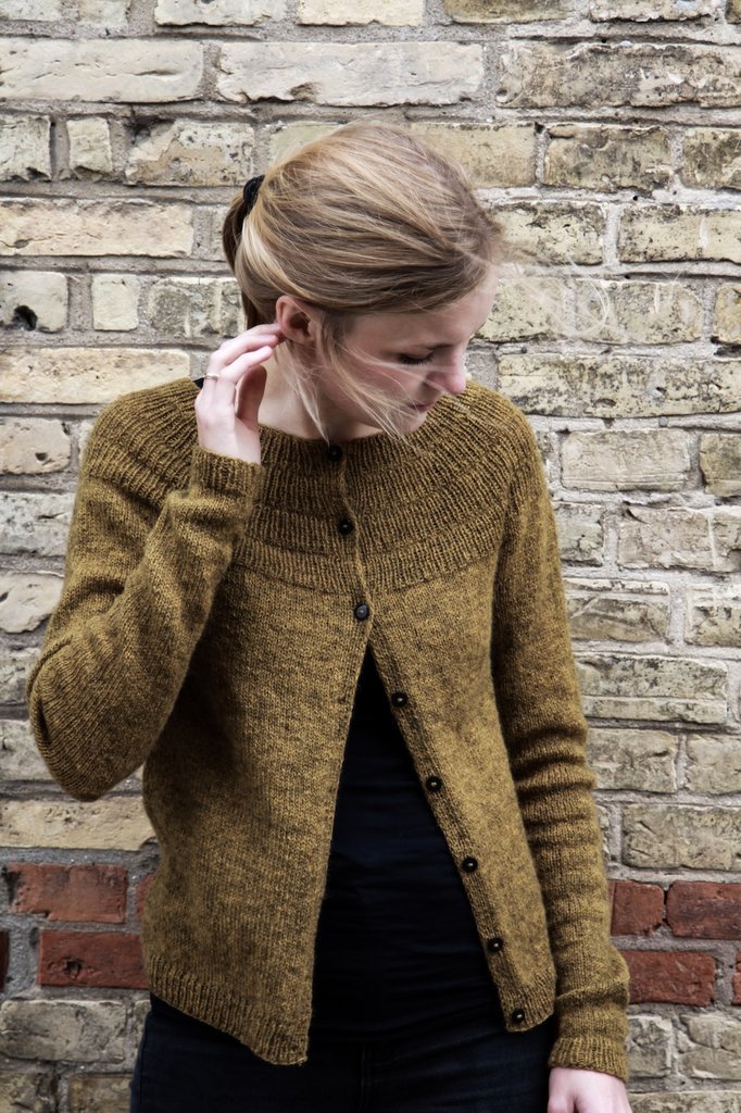 Spiss Hals Ankars Cardigan Bilde